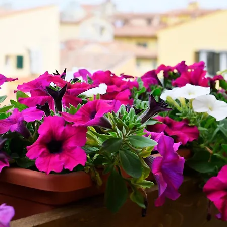 Relais Dell'ussero Centro Pisa