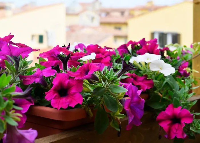 Relais Dell'ussero Centro Pise